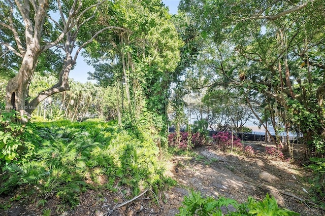 2127 Brickell Ave Unit 2704, Miami, FL 33129 - view of yard