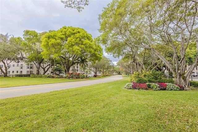 2751 N Palm Aire Dr Unit 310, Pompano Beach, FL 33069 - view of grassy yard