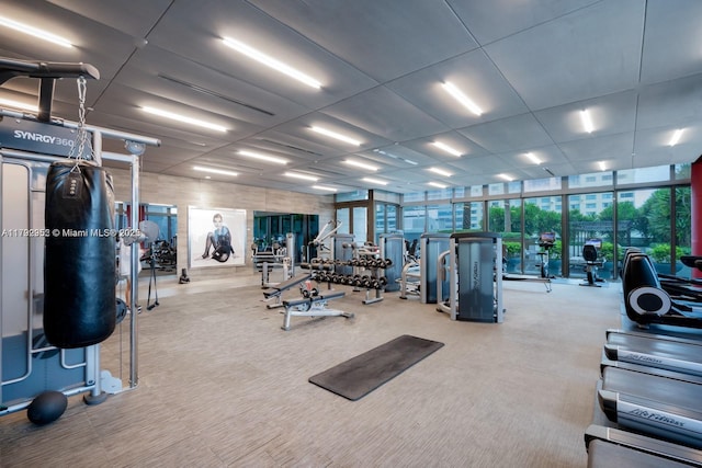 1080 Brickell Ave Unit 2504, Miami, FL 33131 - workout area featuring carpet floors and floor to ceiling windows