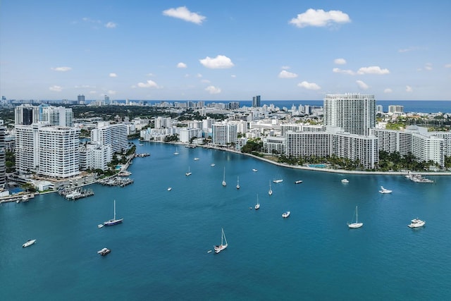 bird's eye view featuring a city view and a water view