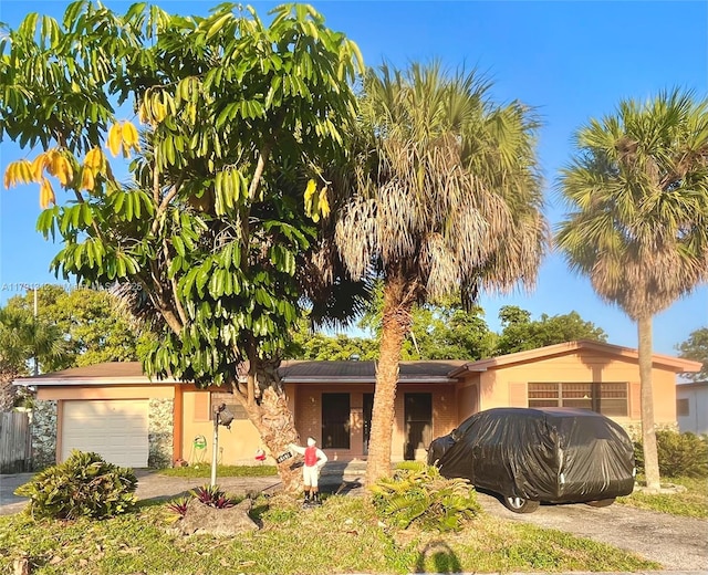 16191 NE 11th Ave, North Miami Beach, FL 33162 - single story home with asphalt driveway, an attached garage, and stucco siding