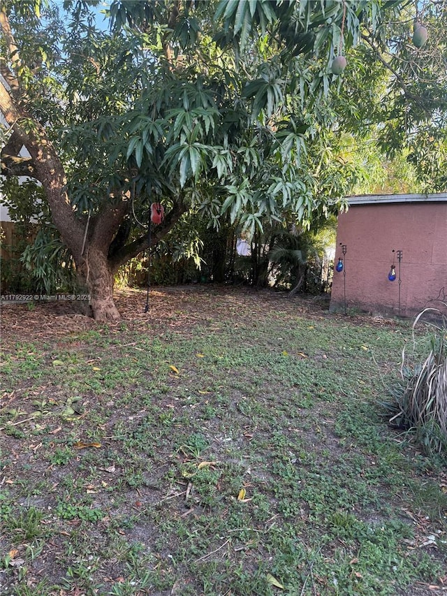 view of yard