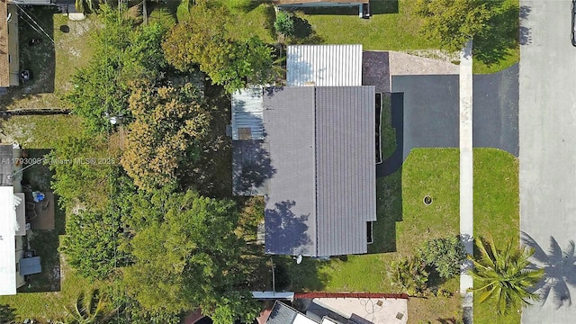 bird's eye view