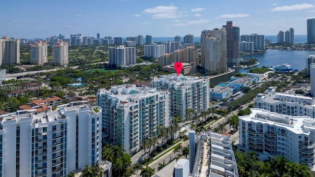 drone / aerial view featuring a view of city and a water view