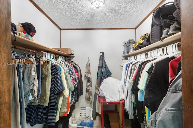 walk in closet with carpet floors