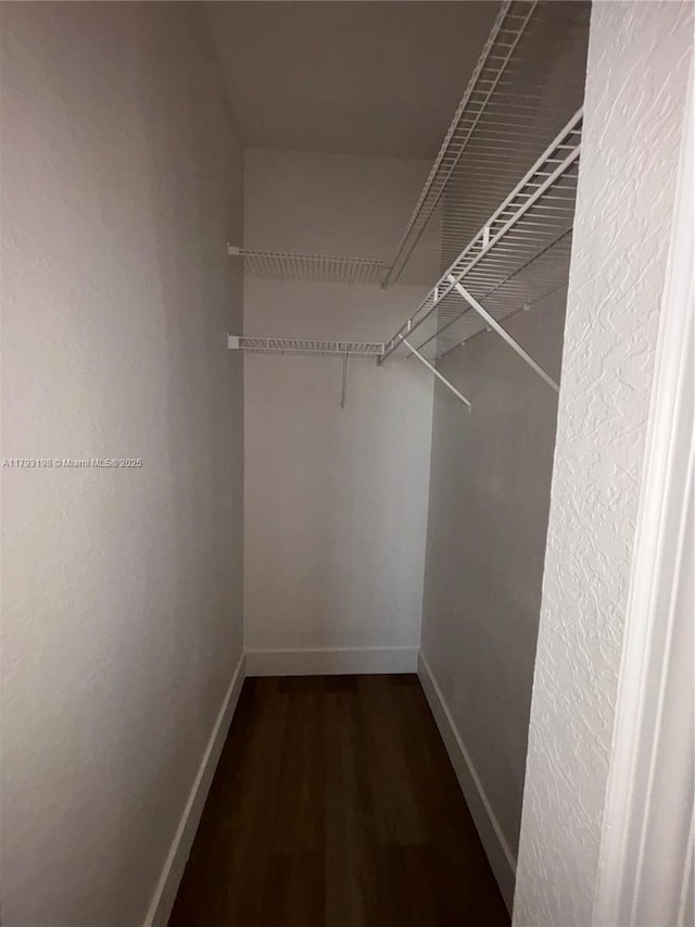 walk in closet featuring dark wood-style flooring
