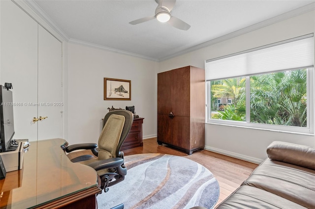 10605 Indian Trl, Cooper City, FL 33328 - office featuring crown molding, baseboards, ceiling fan, and wood finished floors