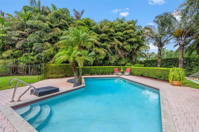 10605 Indian Trl, Cooper City, FL 33328 - view of pool featuring a fenced in pool, a fenced backyard, and a patio area