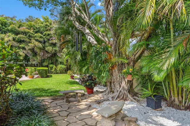 10605 Indian Trl, Cooper City, FL 33328 - view of yard featuring a patio area