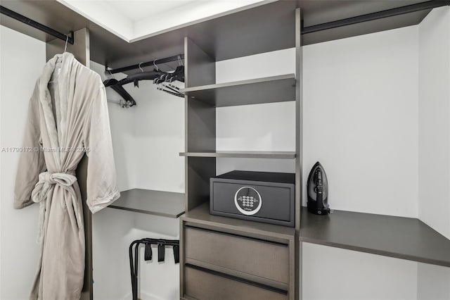 398 NE 5th St Unit 1805, Miami, FL 33132 - view of walk in closet