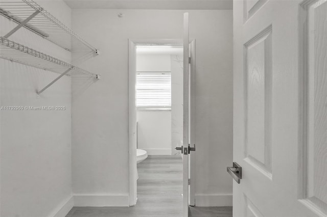 walk in closet with light wood-style floors