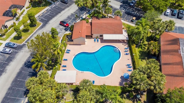 bird's eye view