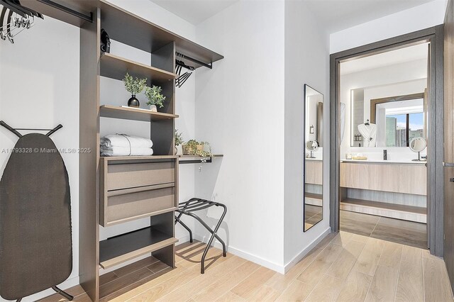 398 NE 5th St Unit 2517, Miami, FL 33132 - walk in closet with light wood-type flooring