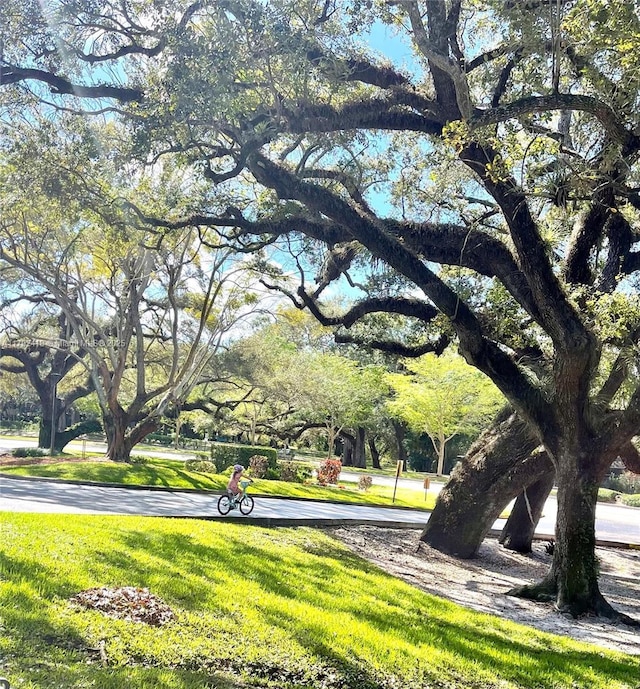 surrounding community with a lawn