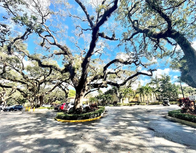 view of road with curbs