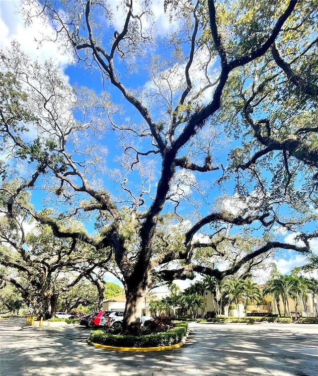 2141 SW 93rd Way Unit 704, Davie, FL 33324 - view of asphalt street