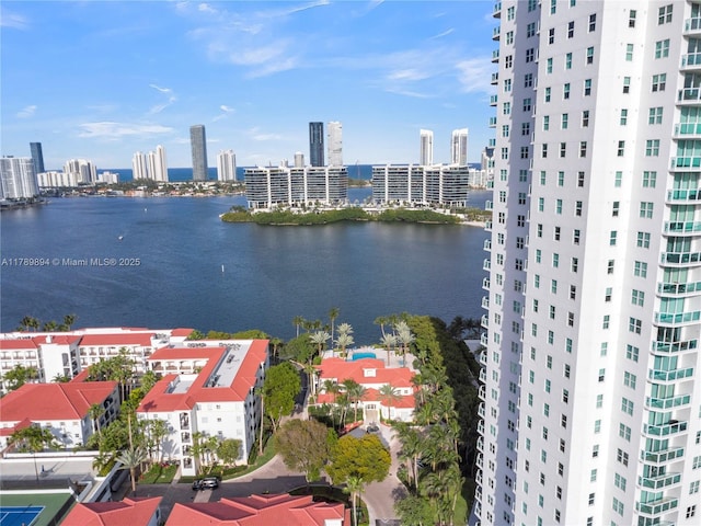 bird's eye view featuring a city view and a water view