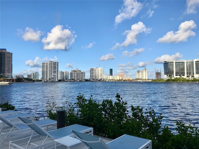 view of water feature with a city view