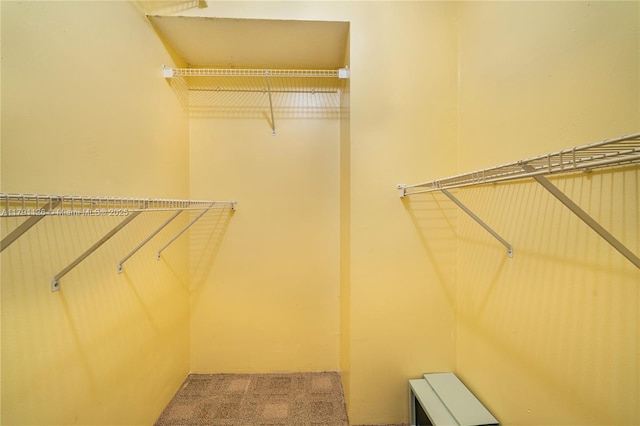 spacious closet with carpet flooring
