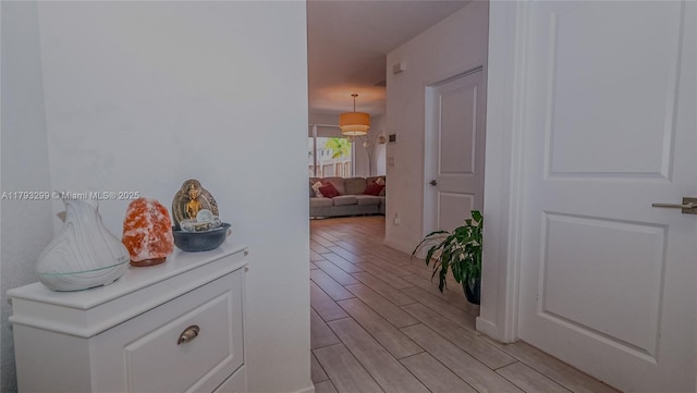 hall featuring wood tiled floor