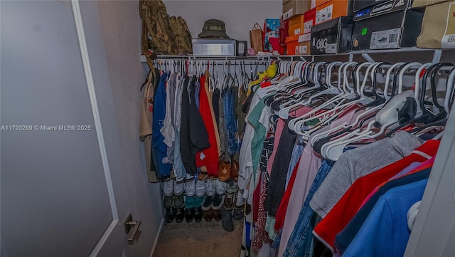view of walk in closet