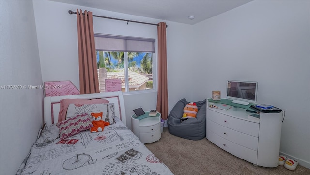 bedroom with carpet flooring