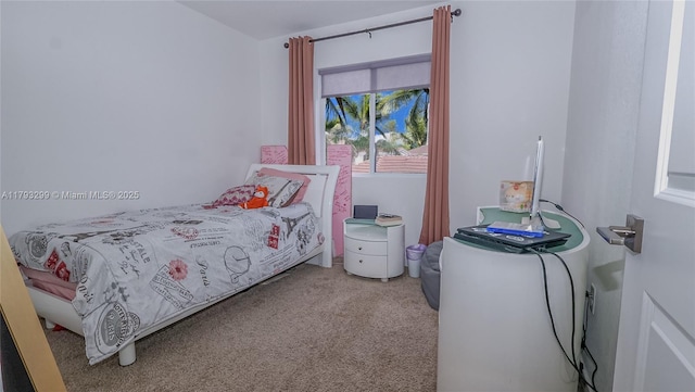 bedroom with carpet floors