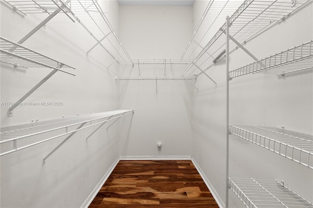 spacious closet with wood finished floors