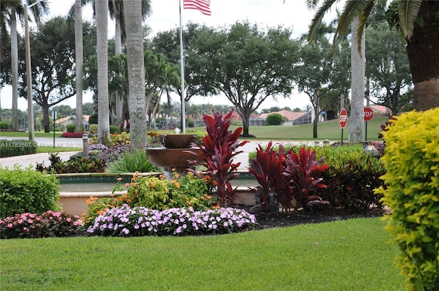 view of home's community with a yard