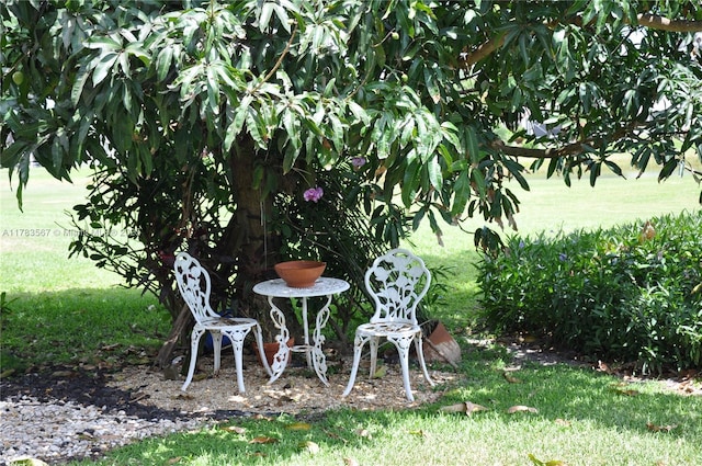 7141 Haviland Cir, Boynton Beach, FL 33437 - view of yard