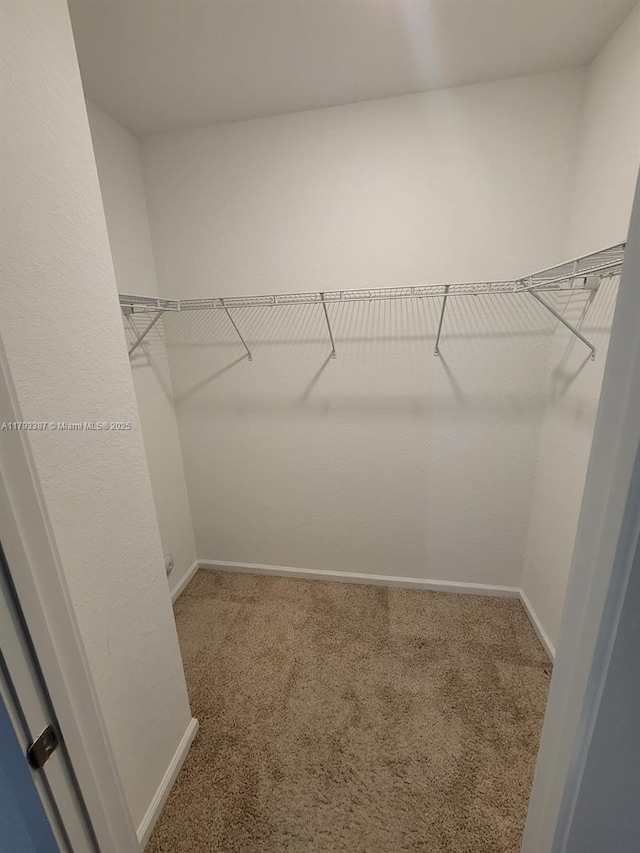 spacious closet with carpet flooring