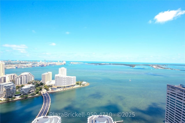 950 Brickell Bay Dr Unit 4710, Miami, FL 33131 - water view with a city view
