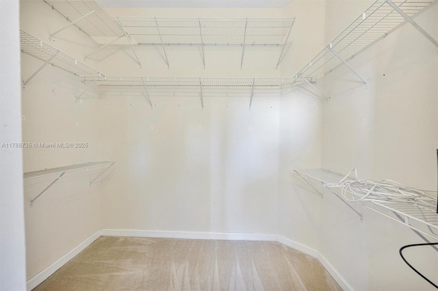 2131 NE 40th Rd, Homestead, FL 33033 - spacious closet with light carpet
