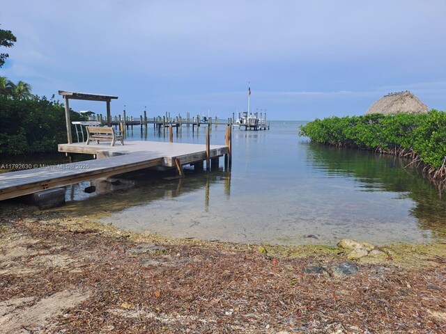 154 Sebring Dr, Tavernier, FL 33070 - photo 23