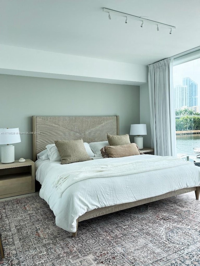 bedroom featuring rail lighting
