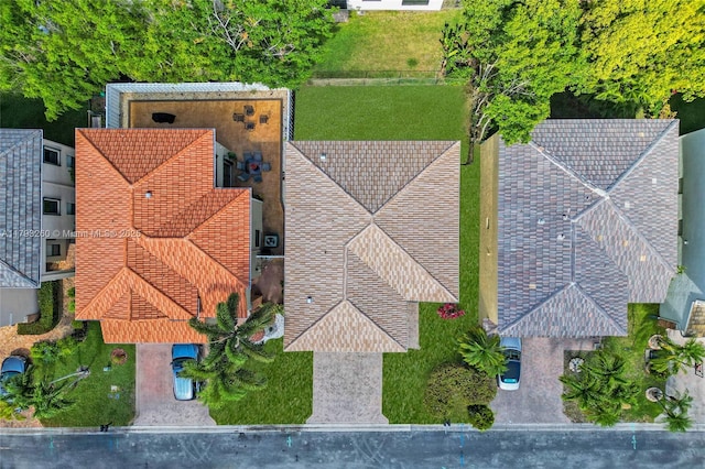 bird's eye view