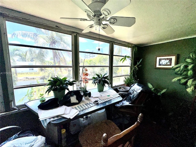 50 NW 204th St Unit 24, Miami Gardens, FL 33169 - photo 18