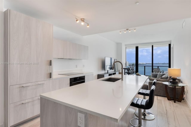 kitchen featuring light brown cabinets, modern cabinets, a center island with sink, light countertops, and a sink