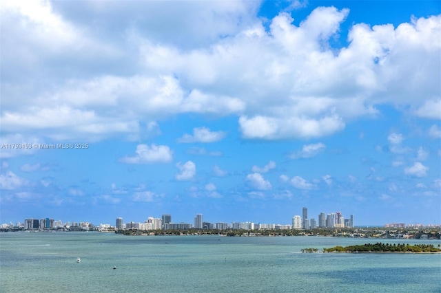 water view with a view of city