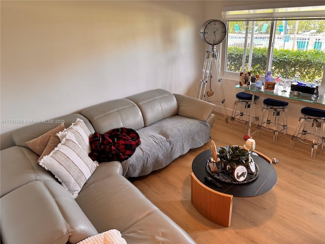 living room with baseboards and wood finished floors