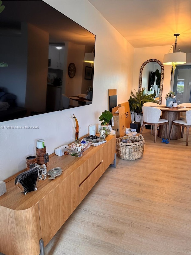 living room featuring wood finished floors