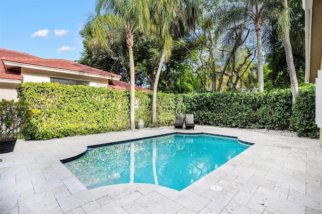 view of swimming pool featuring a fenced in pool and a patio area