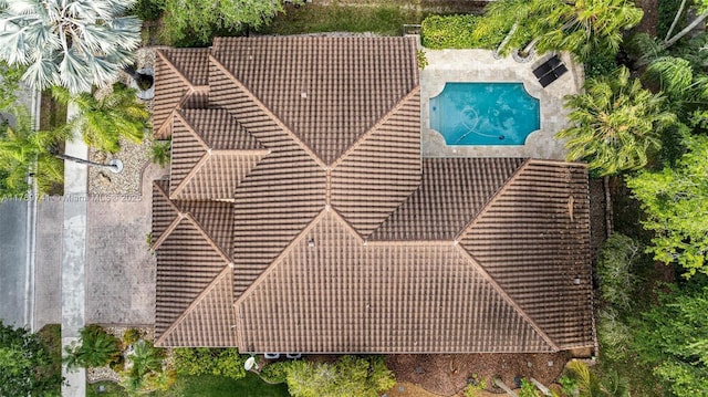 bird's eye view
