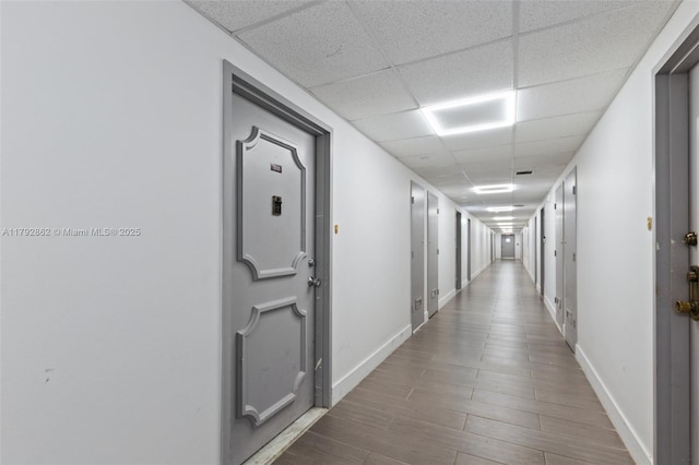 hallway with baseboards, a drop ceiling, and wood finished floors