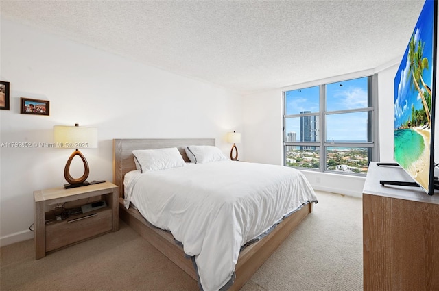 19101 NE 36th Ct Unit 2509, Aventura, FL 33180 - bedroom featuring baseboards, carpet flooring, and a textured ceiling