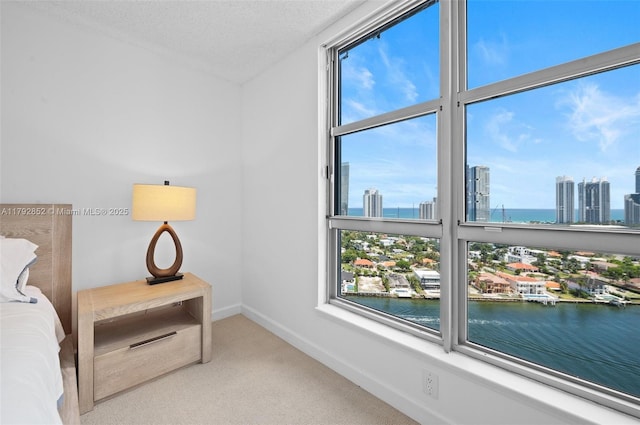 19101 NE 36th Ct Unit 2509, Aventura, FL 33180 - bedroom with baseboards, a city view, a textured ceiling, a water view, and carpet flooring