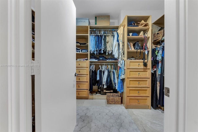 view of walk in closet