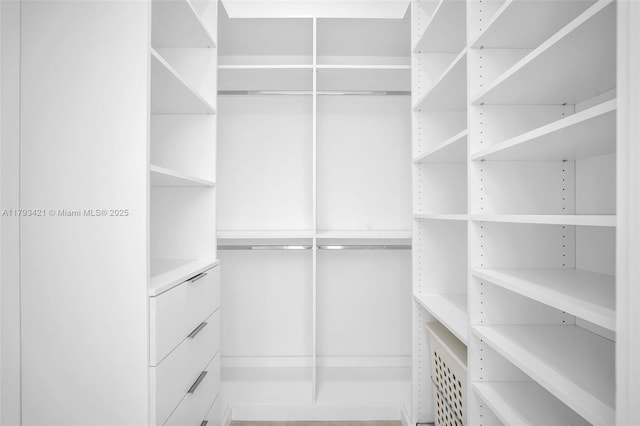 7900 SW 70th St, Miami, FL 33143 - view of spacious closet