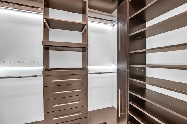 view of walk in closet
