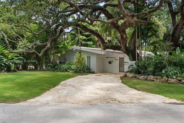 1075 NE 99th St, Miami Shores, FL 33138 - view of front of property featuring concrete driveway, stucco siding, a front lawn, and an attached carport